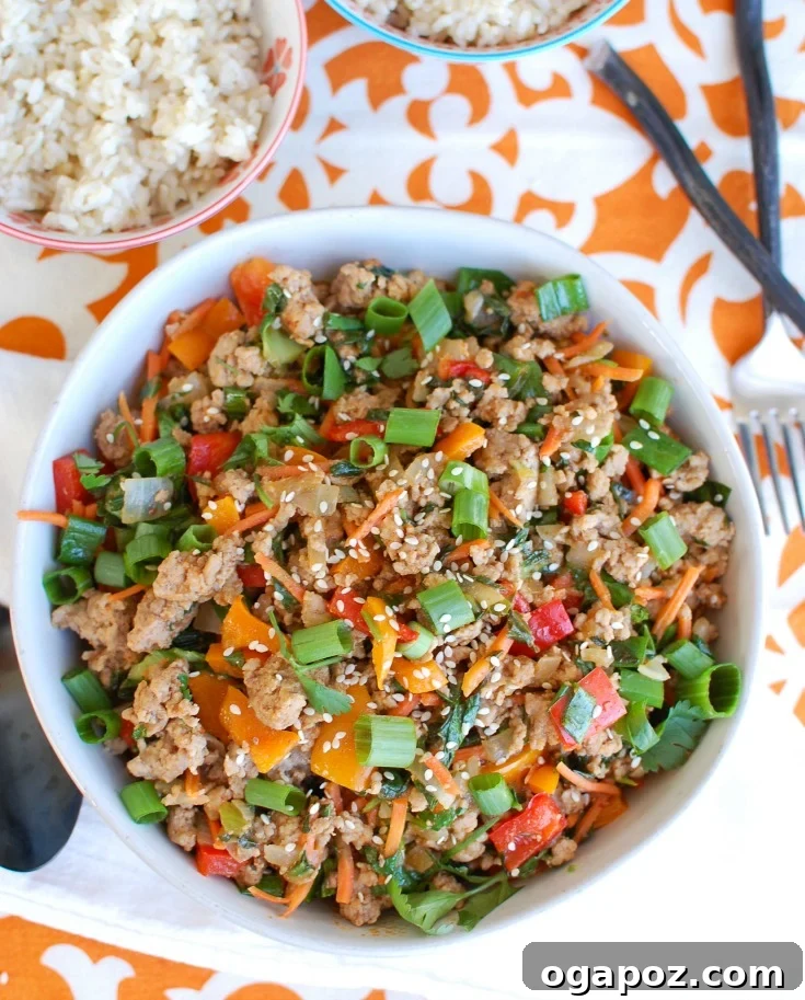 A bowl of freshly cooked Easy Thai Pork Stir-Fry garnished with cilantro, green onions, and sesame seeds, ready to be served.