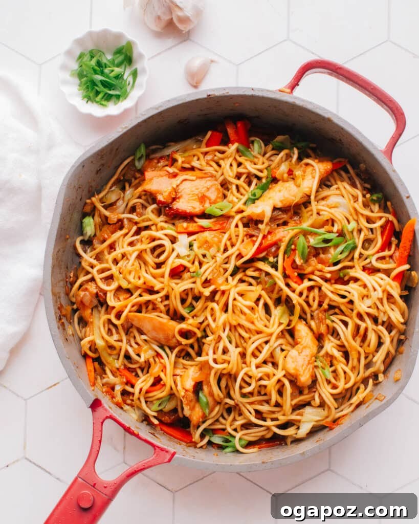 Perfectly Pan-Fried Chow Mein 2 Chicken chow mein noodles in a large skillet, topped with fresh green onions. A vibrant, delicious meal ready to serve.