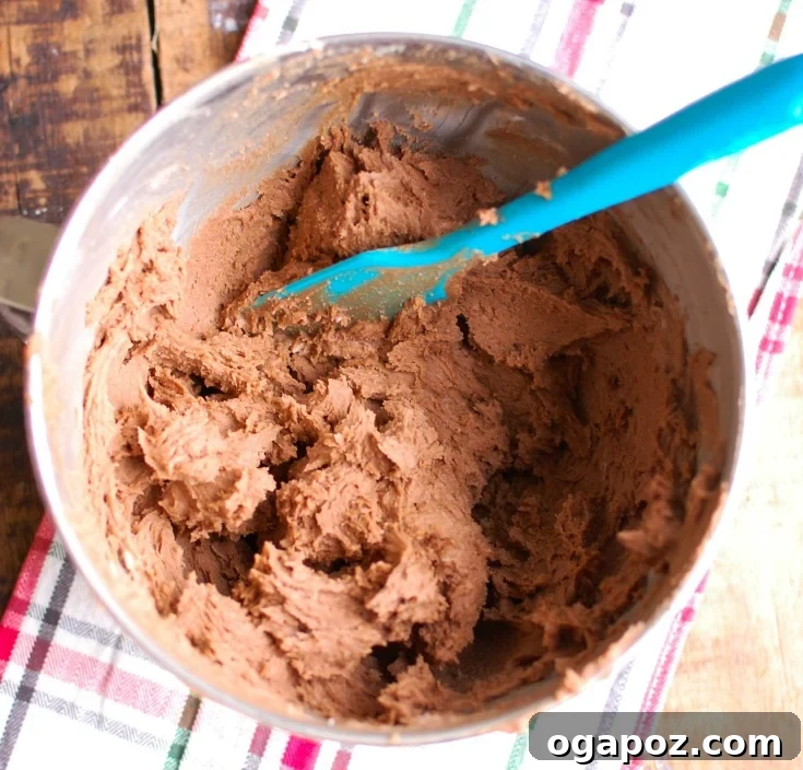 Irresistible Gluten-Free Chocolate Snickerdoodles 5 Mixing dry and wet ingredients for Gluten-Free Chocolate Snickerdoodles in a large bowl