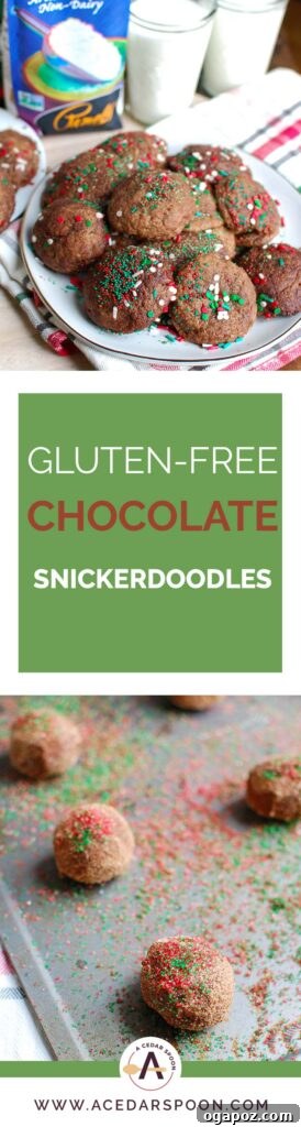 Irresistible Gluten-Free Chocolate Snickerdoodles 8 A festive holiday stack of Gluten-Free Chocolate Snickerdoodles ready for sharing
