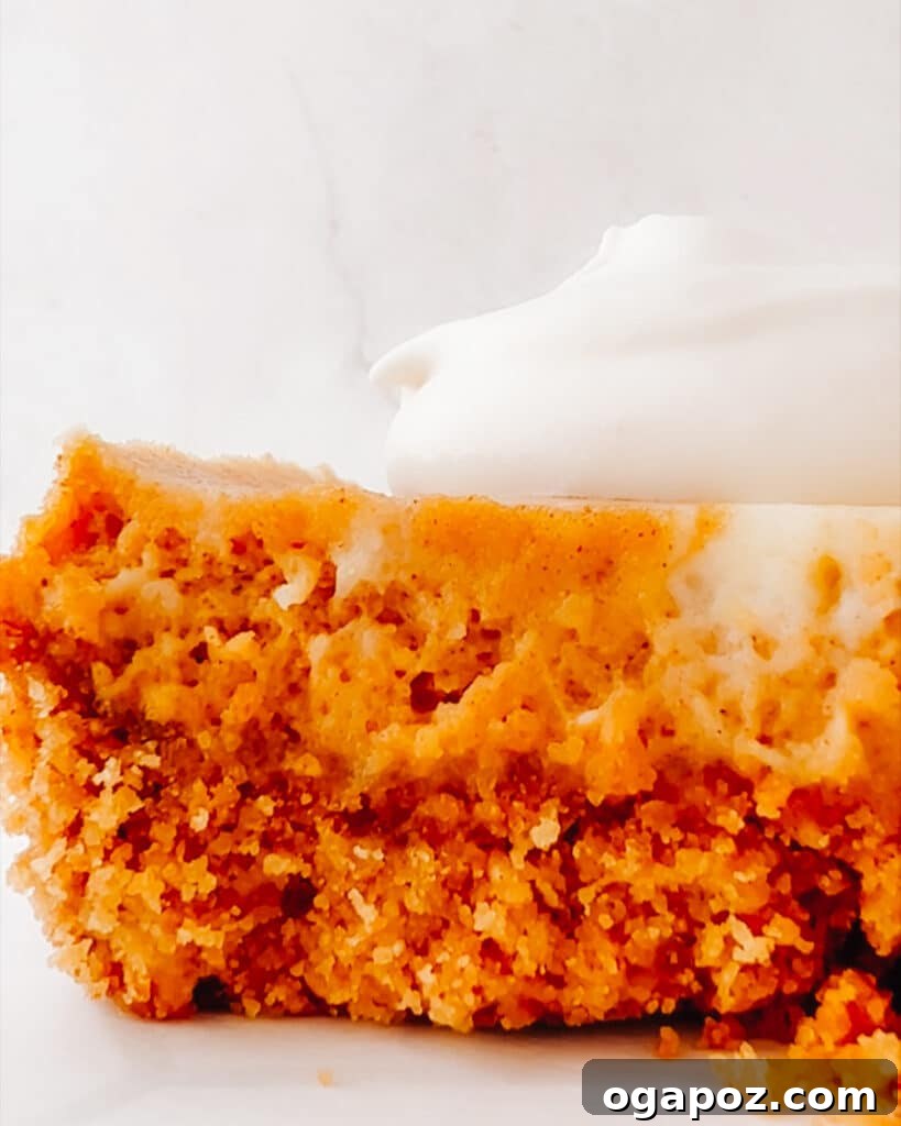 A single slice of pumpkin cheesecake bar on a plate, topped with a generous dollop of whipped cream, invitingly presented.
