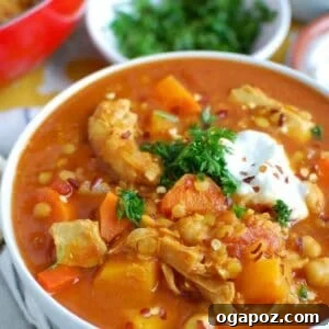 Moroccan Spiced Slow Cooker Chicken Soup 7 Slow Cooker Moroccan Chicken Soup 1200 x 1200