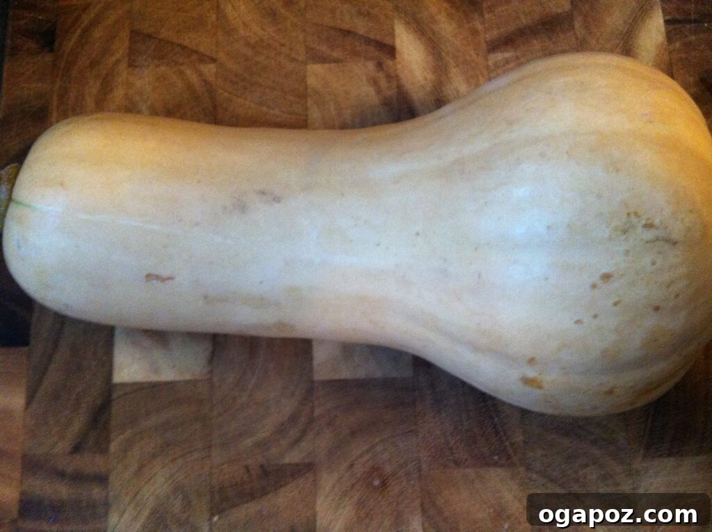 Butternut Squash Pre-Roasting Whole butternut squash on a cutting board, ready for roasting