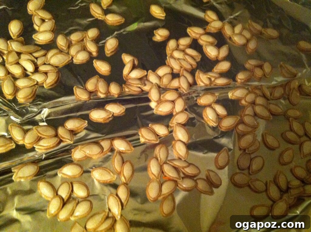 Seasoned Seeds on Baking Sheet Butternut squash seeds seasoned and spread on a baking sheet, ready for roasting