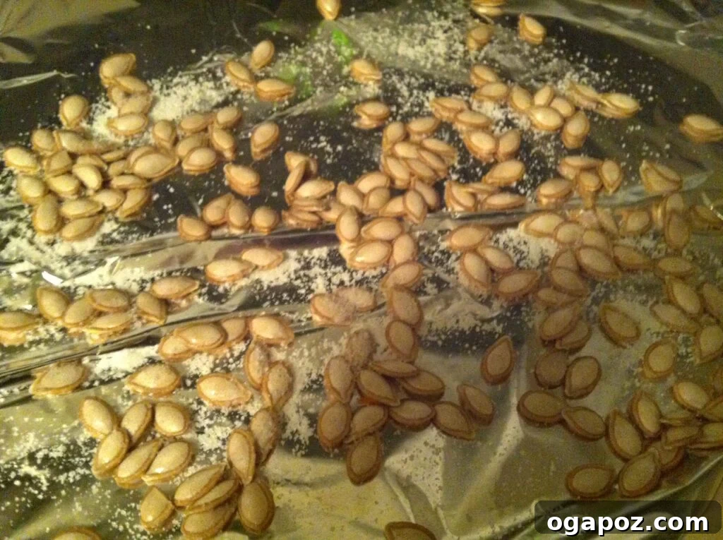 Salted Butternut Squash Seeds Close-up of salted butternut squash seeds on a baking sheet