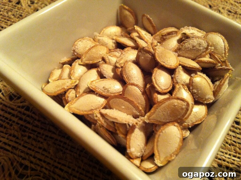 Delicious & Healthy Roasted Seeds Close-up of a serving of roasted butternut squash seeds, highlighting their delicious and healthy nature