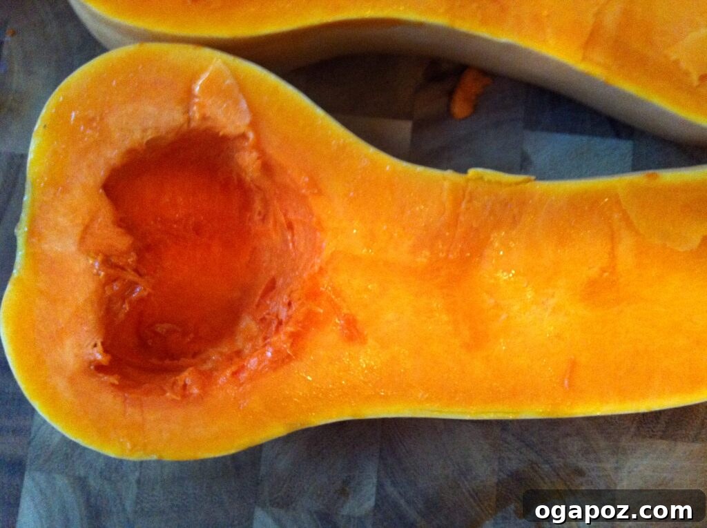 Halved Butternut Squash Butternut squash cut in half lengthwise, showing the seeds and pulp