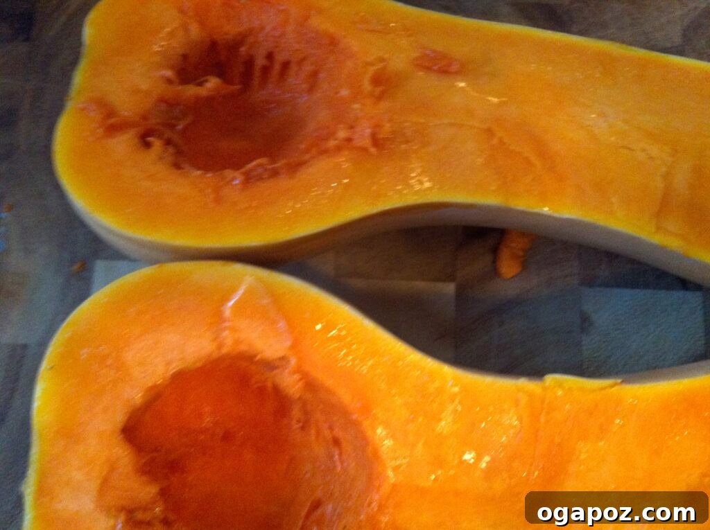 Cleaned Butternut Squash Cleaned butternut squash halves, with seeds removed