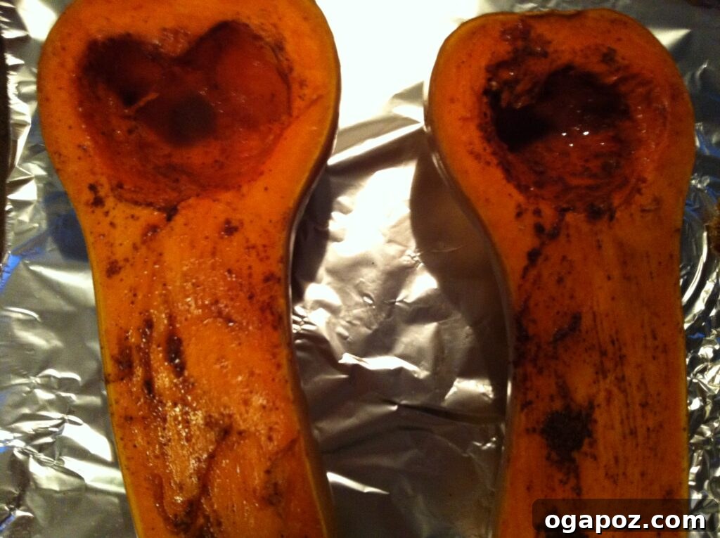 Roasted Butternut Squash Halves Perfectly roasted butternut squash halves, golden brown and tender