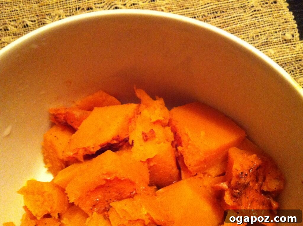 Bowl of Roasted Butternut Squash Close-up of a bowl filled with fluffy, tender roasted butternut squash