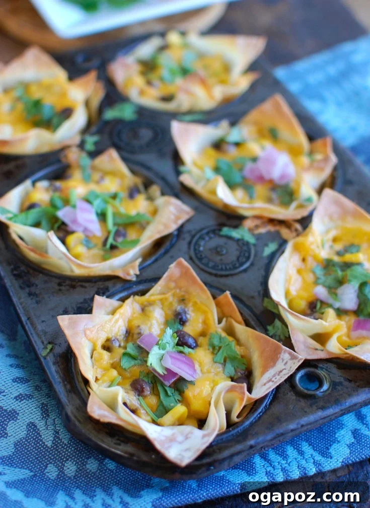 15 Mediterranean Appetizers to Delight Your Taste Buds 16 Southwestern Hummus Baked Wonton Cups are a fun finger food mixing spicy hummus, black beans, corn and cheese and baked into a wonton cup until crispy and warm. These are packed with flavor and work great as a snack or party food!