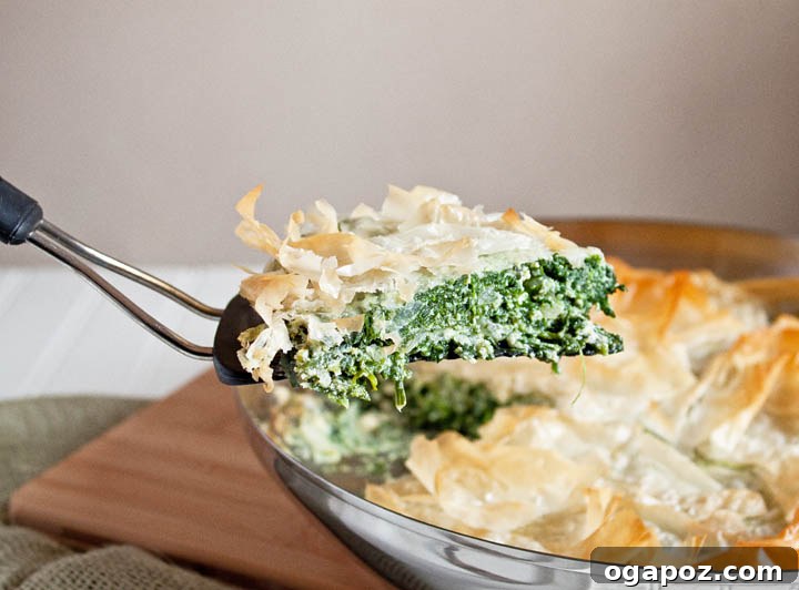 15 Mediterranean Appetizers to Delight Your Taste Buds 9 phyllo brushed with butter wrapped with spinach and baked in the oven