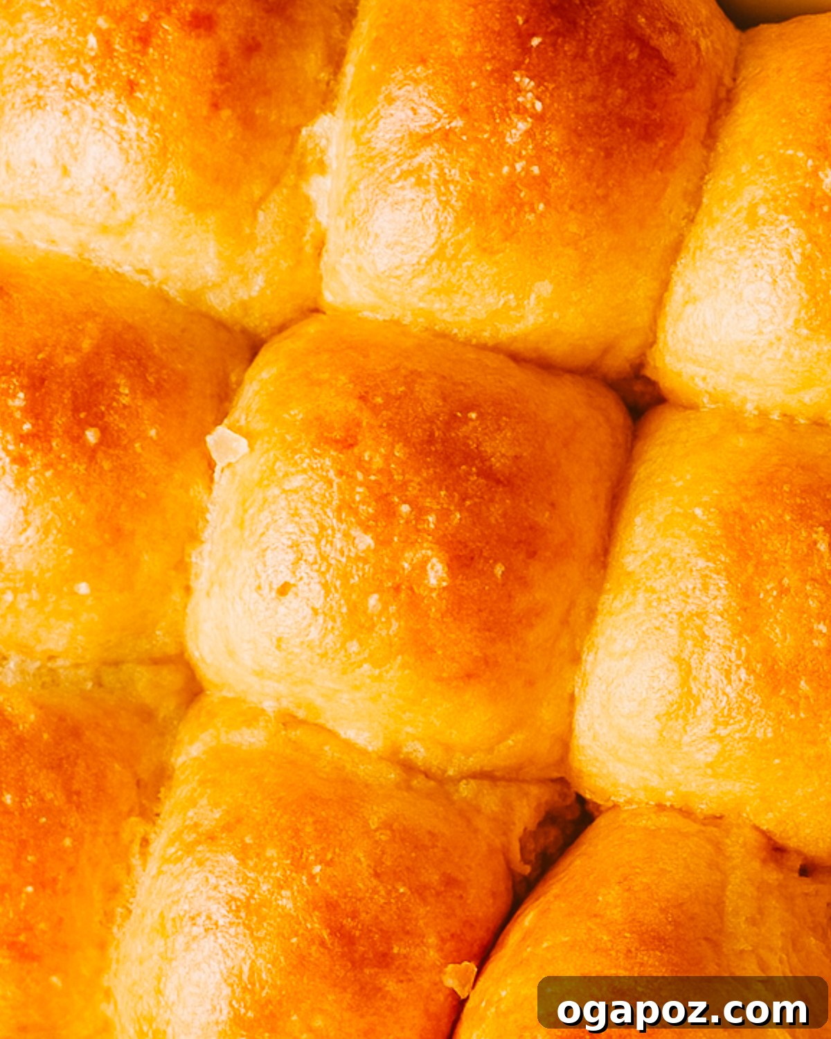 Harvest Pumpkin Rolls 5 Freshly baked pumpkin dinner rolls cooling on a wire rack, still warm and inviting.