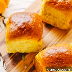 Pumpkin Dinner Rolls.