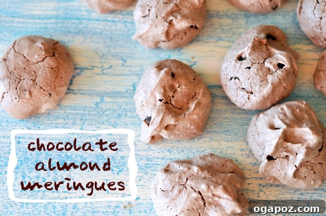 Almond Chocolate Whispers 5 A stack of chocolate almond meringues, emphasizing their appealing texture and height
