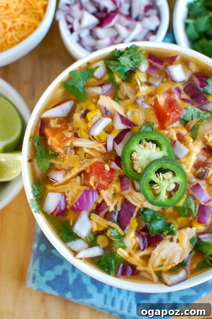 Instant Pot Fiesta Chicken Tortilla Soup 4 Instant Pot Chicken Tortilla Soup above view