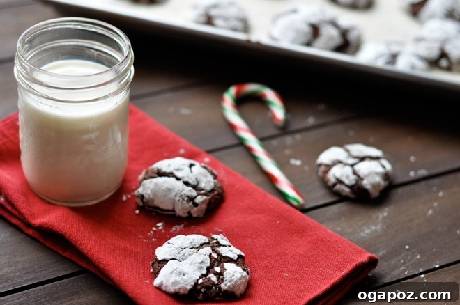 Decadent Chocolate Snowball Cookies 3 Chocolate snowball cookies arranged on a red napkin, with a glass of milk in the background, ready to be enjoyed.
