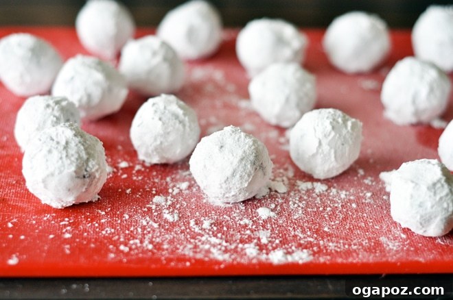 Decadent Chocolate Snowball Cookies 5 Snowball cookie dough balls generously rolled in icing sugar, placed on a baking sheet before baking.