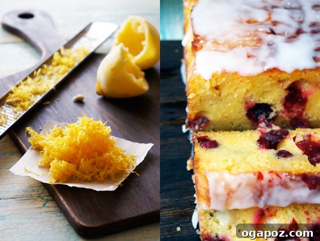 Vibrant Cranberry Lemon Cake with Zesty Glaze 3 The author after the seagull attack, looking disheveled with a mustard stain.