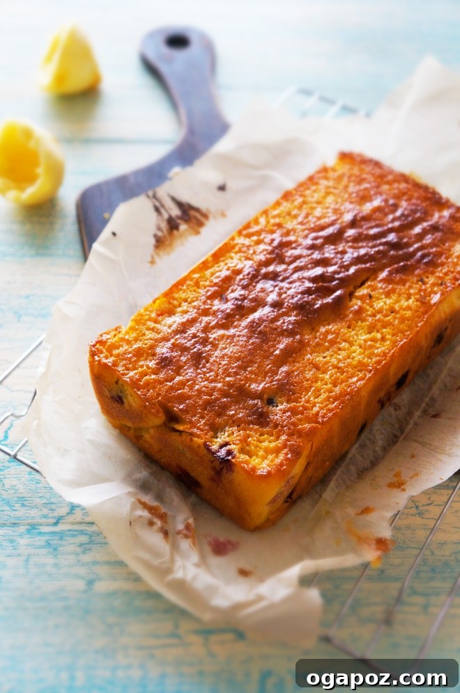 Vibrant Cranberry Lemon Cake with Zesty Glaze 4 A determined and slightly menacing expression from the author, hinting at revenge.