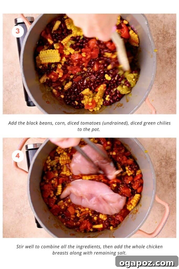 Velvet Chicken Chili 5 Various chili ingredients including black beans, corn kernels, diced tomatoes, green chilies, and whole chicken breasts being added to the sautéed aromatic base in the pot.