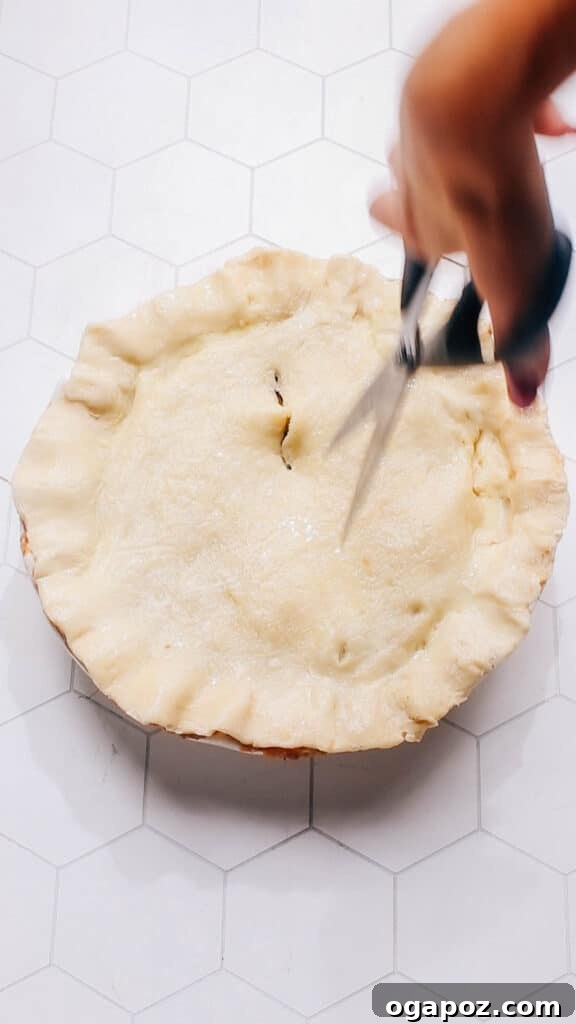 Rustic Beef Pot Pie 12 Step 9: Gently cutting steam vents into the top pie crust before baking to ensure a crispy crust.
