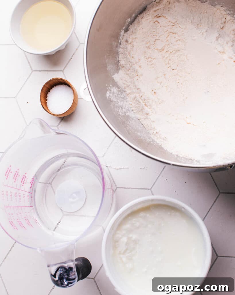 Golden Flaky Paratha Bread 5 Paratha Ingredients