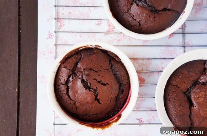 Chocolate Raspberry Invert Cakes 2 A delightful display of fresh raspberries, perfect for a romantic dessert.