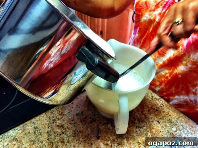 pouring yogurt mixing Homemade Yogurt