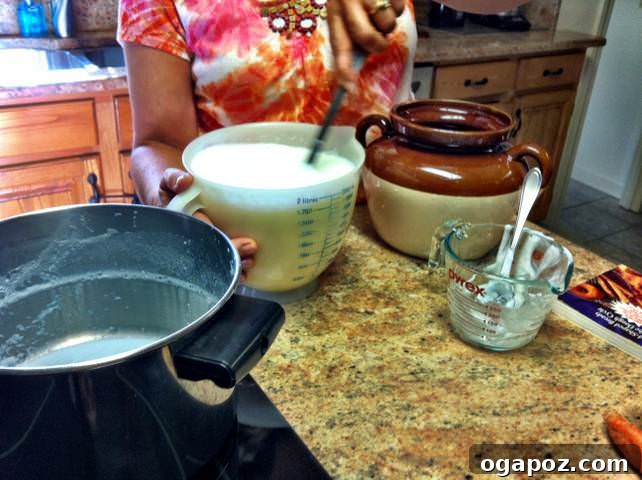 stirring yogurt ingredients for Homemade Yogurt