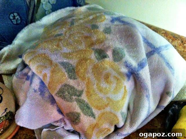 towel resting Homemade Yogurt