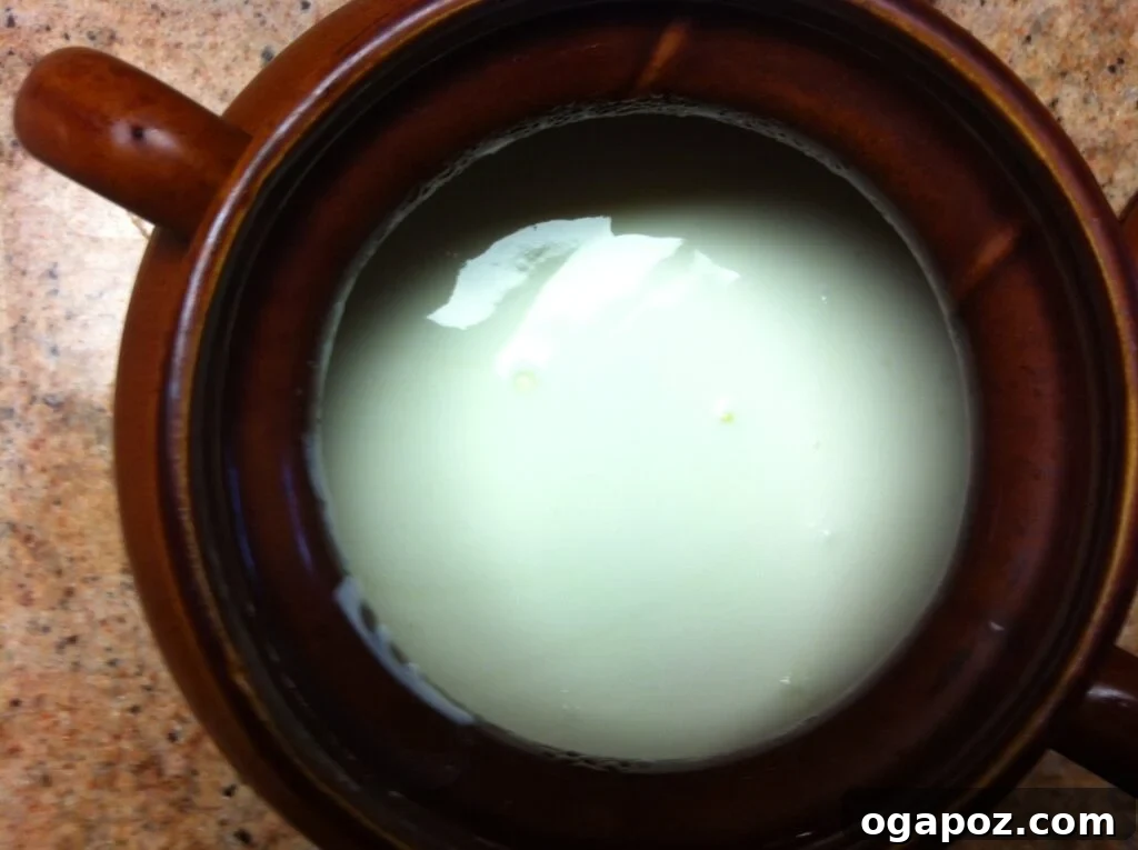 yogurt finished Laban - Homemade Yogurt