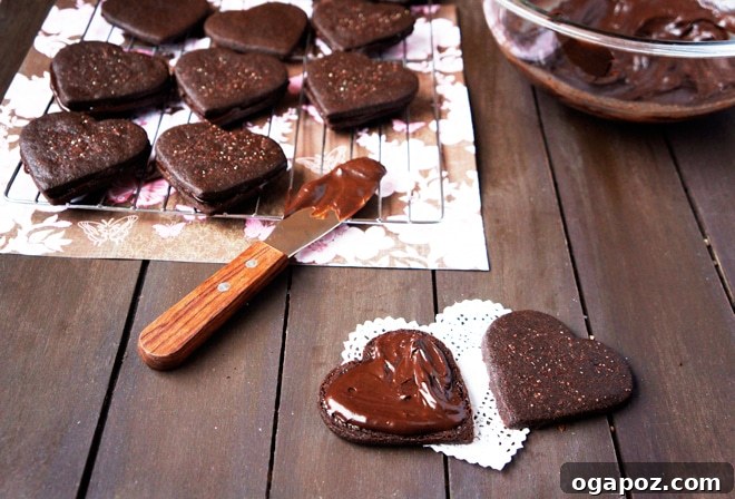 Double Chocolate Fudge Sandwich Cookies 4 Cookie dough being rolled out between two sheets of parchment paper