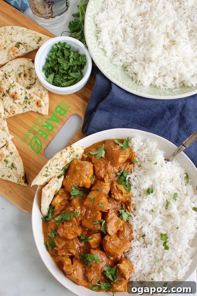 Meltingly Tender Slow Cooker Butter Chicken 7 Close-up of Slow Cooker Butter Chicken with rice and fresh cilantro