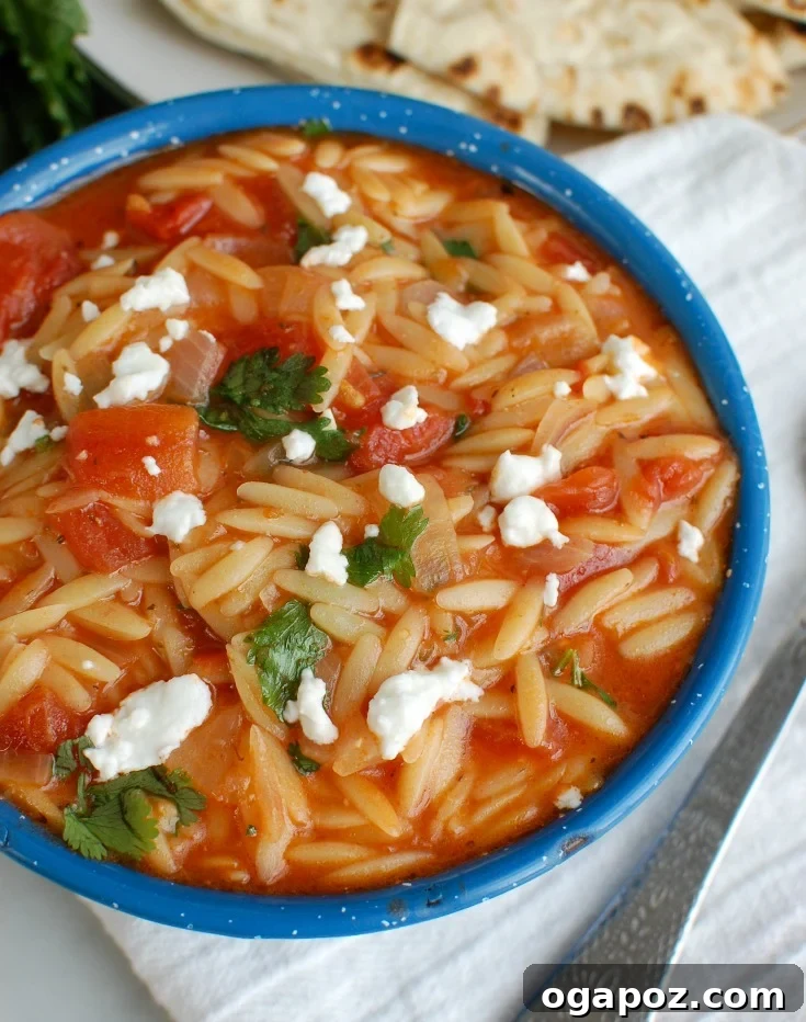 Velvety One-Pan Tomato Herb Orzo 2 One Pot Creamy Tomato Herb Orzo served in a beautiful blue bowl, garnished with fresh herbs