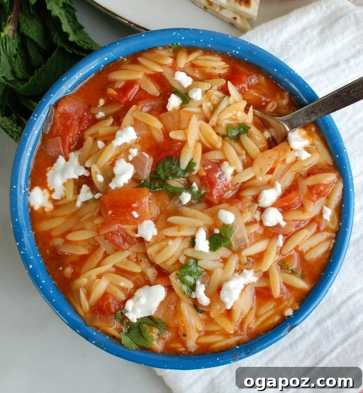 Velvety One-Pan Tomato Herb Orzo 3 Close-up of One Pot Creamy Tomato Herb Orzo, showcasing its vibrant colors and creamy texture