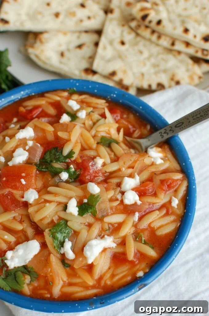 Velvety One-Pan Tomato Herb Orzo 4 One Pot Creamy Tomato Herb Orzo close up, showing the creamy pasta and fresh herbs