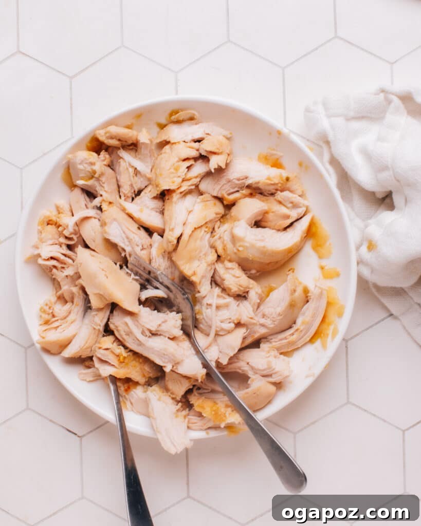 Wholesome White Chicken Chili 7 Close-up of perfectly shredded chicken breasts, showcasing their tender texture before being mixed back into the white chicken chili.