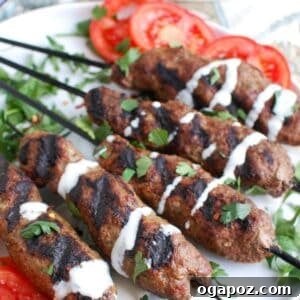 Beef Kafta Kabob Recipe 1200 x 1200