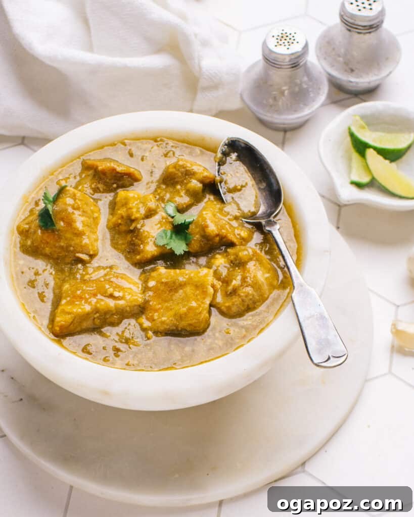 The Ultimate Award-Winning Pork Green Chili 2 A hearty bowl of Green Chile (pork chile verde) with a spoon, ready to be enjoyed.