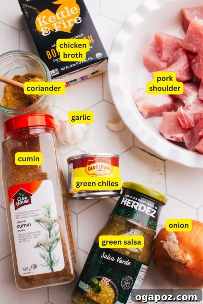The Ultimate Award-Winning Pork Green Chili 3 A collection of fresh ingredients for Green Chili (Chile Verde) laid out on a tiled countertop: chicken broth, pork shoulder, garlic cloves, ground cumin, green chiles, jarred salsa verde, ground coriander, and a whole onion.