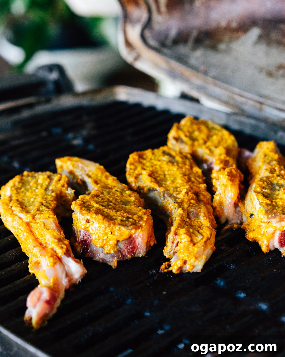 Maharaja's Lamb Chops 5 Indian Lamb Chops sizzling on a hot outdoor grill, showing a beautiful char.