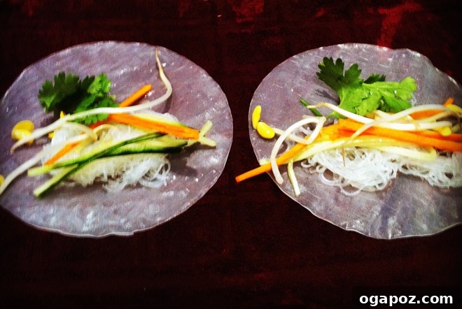 Summer Rolls with Creamy Peanut Sauce 3 A close-up shot of a single Vietnamese Salad Roll, showing the delicate rice paper and the colorful fillings inside, ready for dipping.
