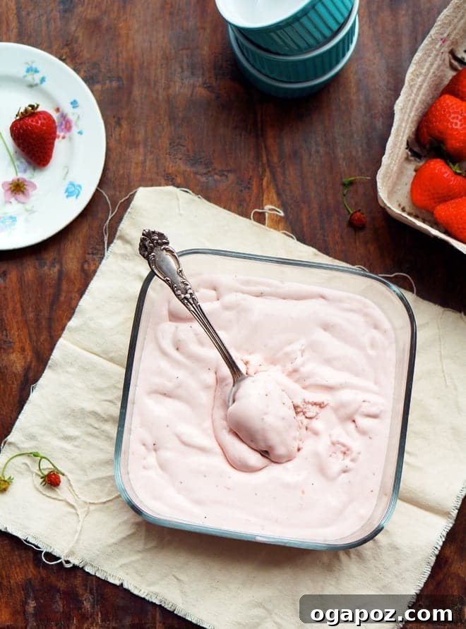Roasted Strawberry Buttermilk Dream 2 A scoop of creamy roasted strawberry buttermilk ice cream with fresh strawberries on top.