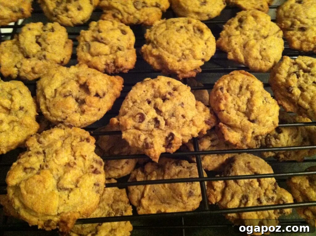 Delicious Chocolate Peanut Butter Cookies cooling Freshly baked Chocolate and Peanut Butter Chip Cookies cooling on a wire rack