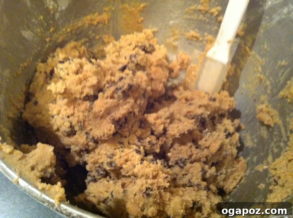 Chocolate Peanut Butter Cookie dough Close-up of Chocolate and Peanut Butter Chip Cookie dough being mixed