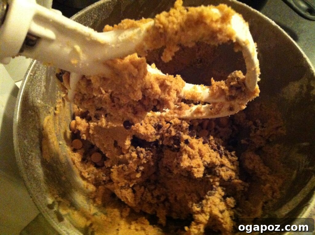 Mixing cookie ingredients Hand mixing Chocolate and Peanut Butter Chip Cookie dough in a bowl