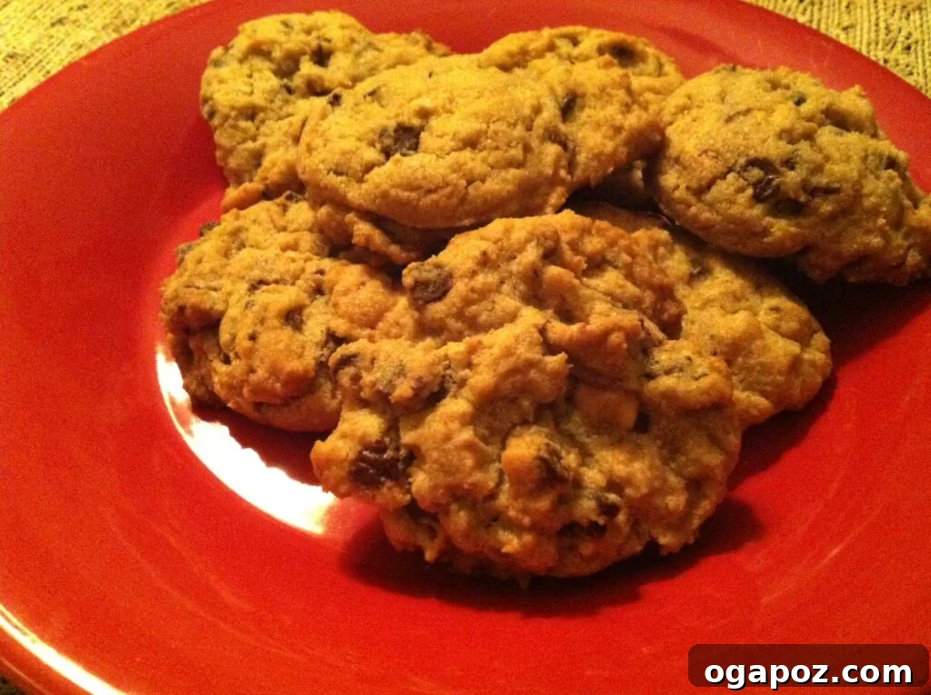 Homemade Cookie Recipe Chocolate and Peanut Butter Chip Cookies recipe card showing ingredients and instructions