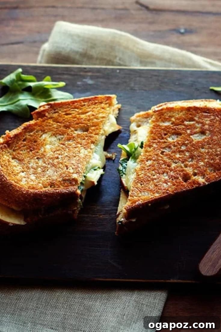 A gourmet twist on a classic comfort food. Try this quick and easy Apple Cheddar Grilled Cheese Sandwich Recipe for lunch today! 