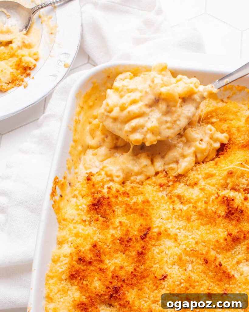 Liquid Gold Mac and Cheese Sauce 2 Old Fashioned Baked Macaroni and Cheese with a spoon scooping some out.